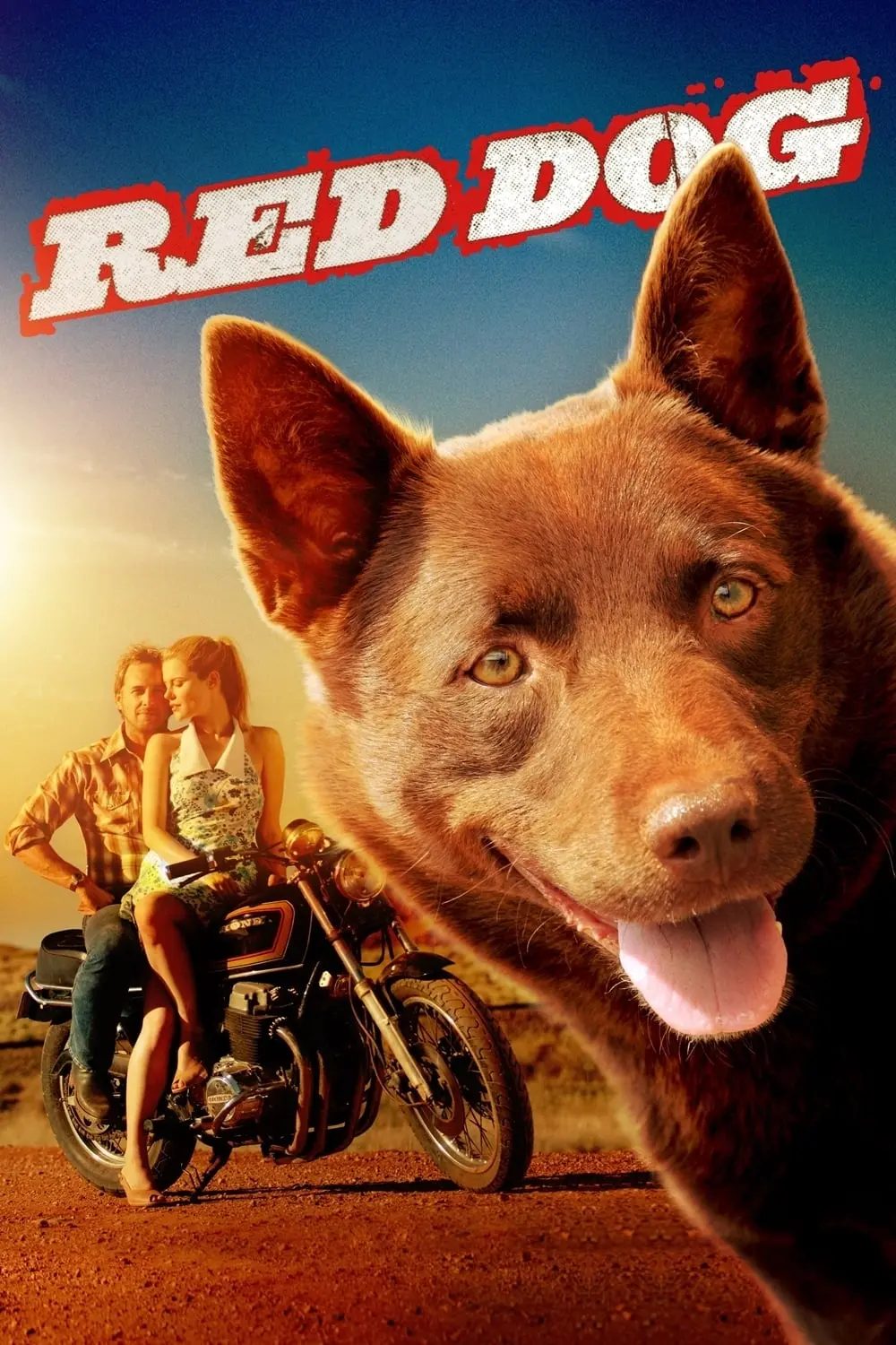 Las aventuras del perro rojo_peliplat