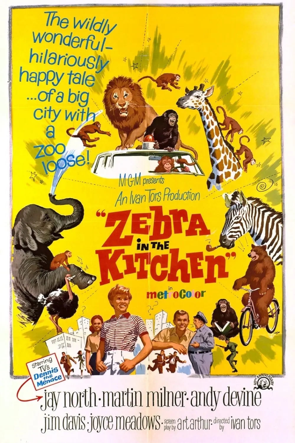 Zebra in the Kitchen_peliplat