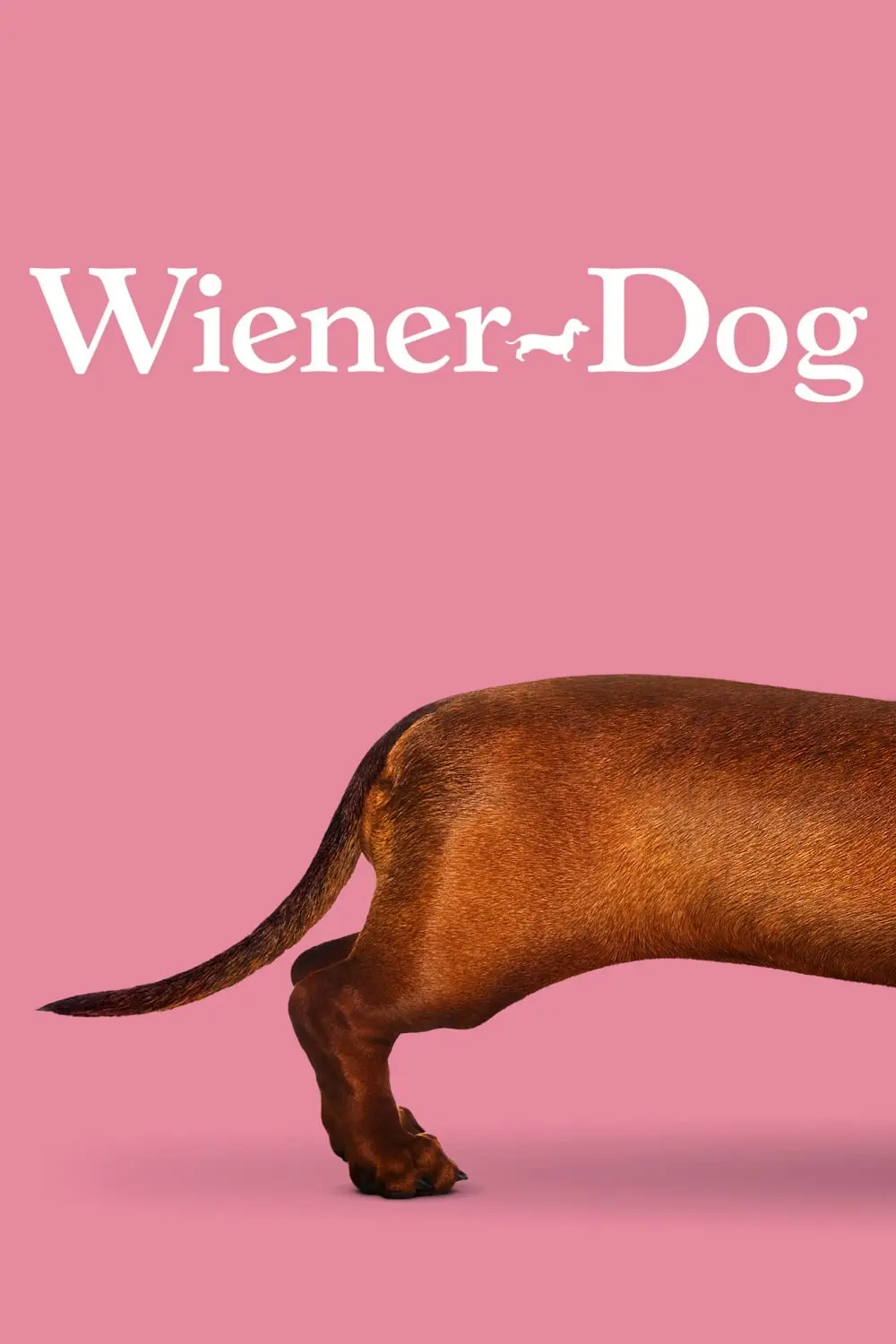 Wiener-Dog - Uma Vida de Cão_peliplat