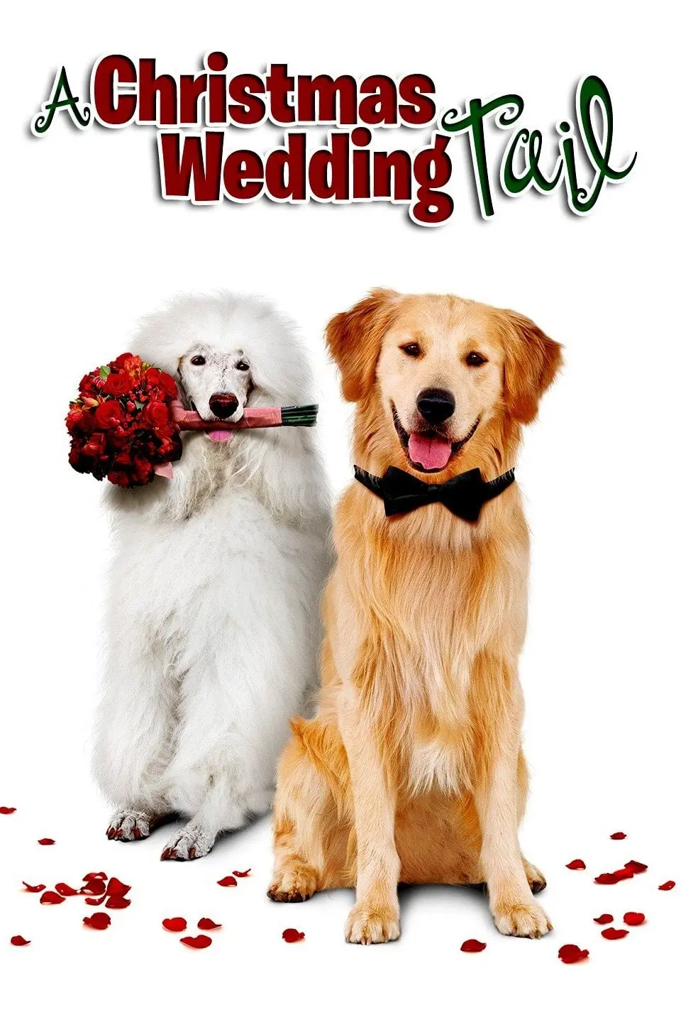 Una boda perruna por Navidad_peliplat