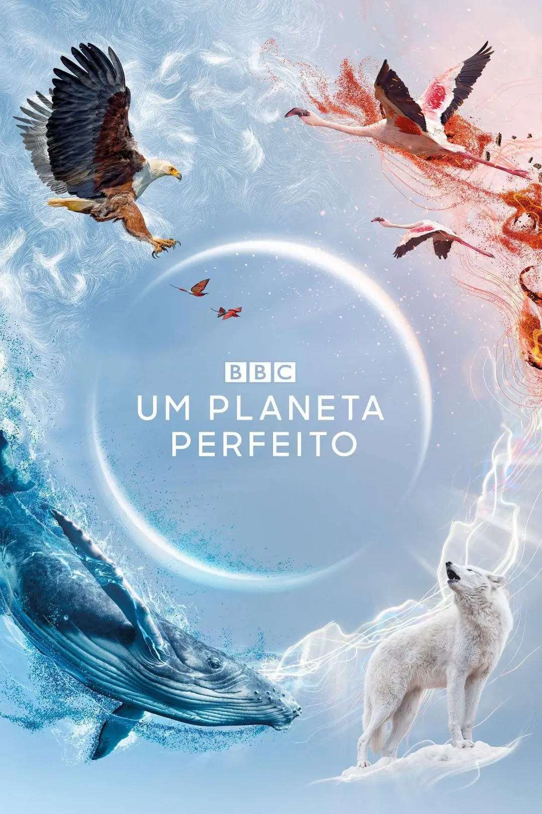 Um Planeta Perfeito_peliplat