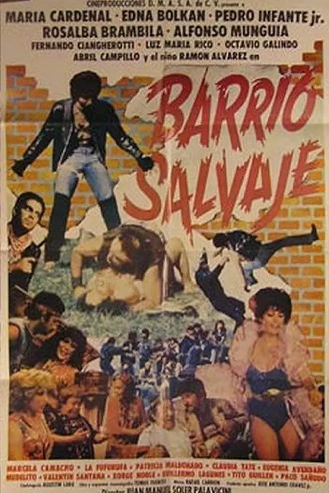 Barrio salvaje_peliplat