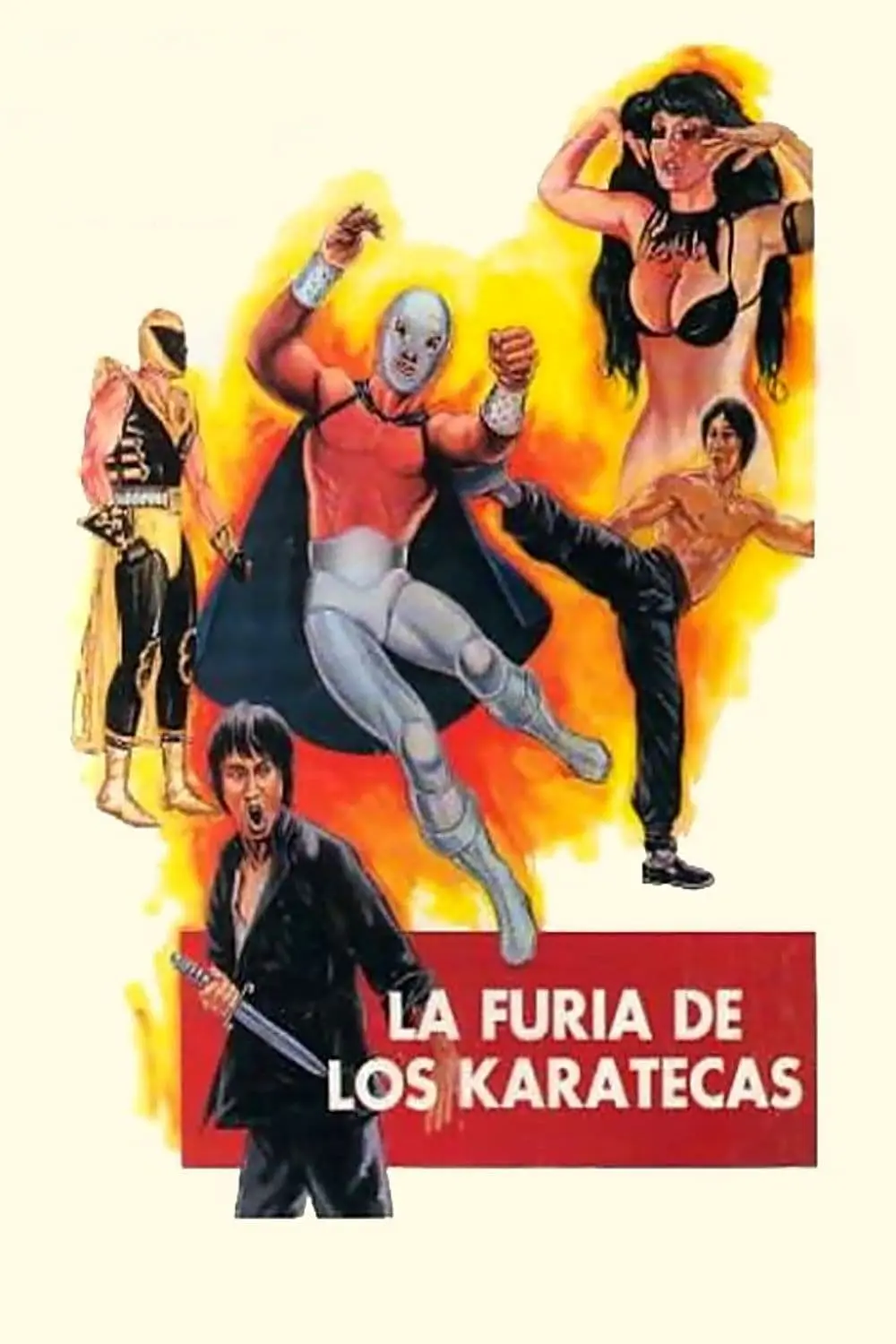 La furia de los karatecas_peliplat