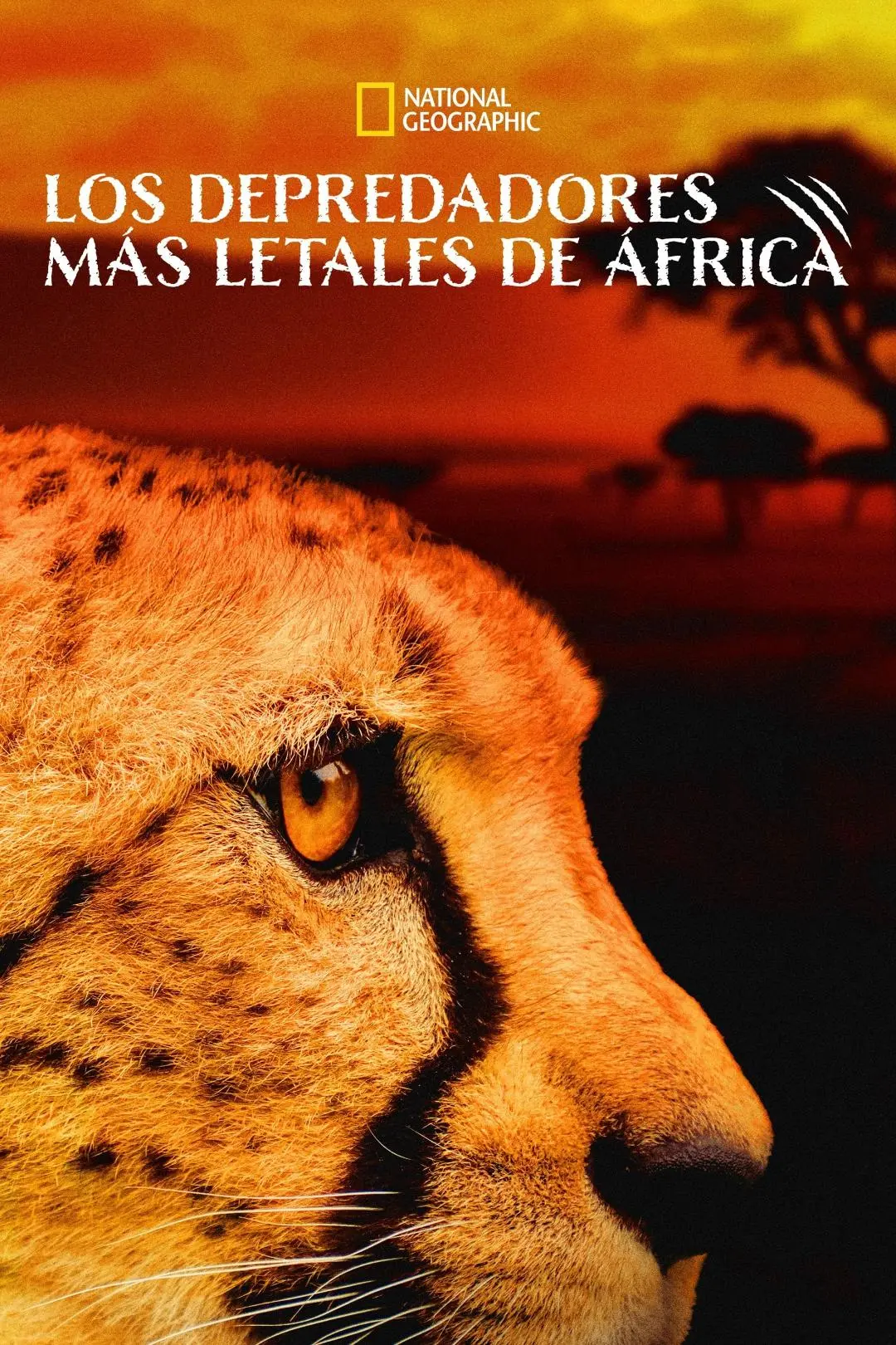 Africa's Deadliest_peliplat