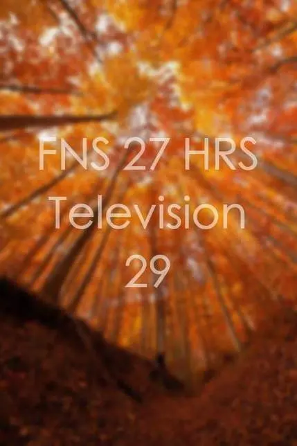 FNS 27 HRS Television 29_peliplat
