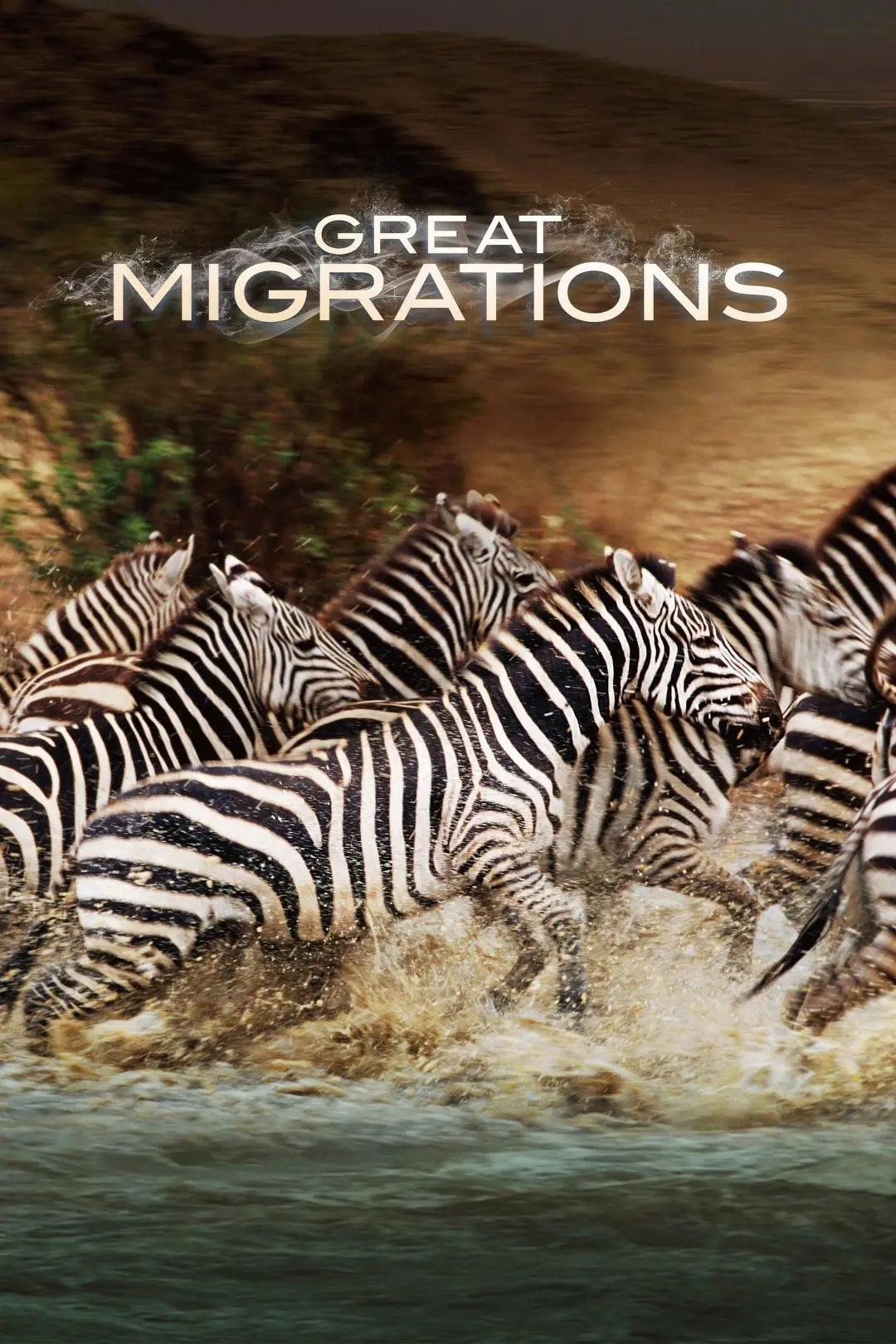 Great Migrations_peliplat