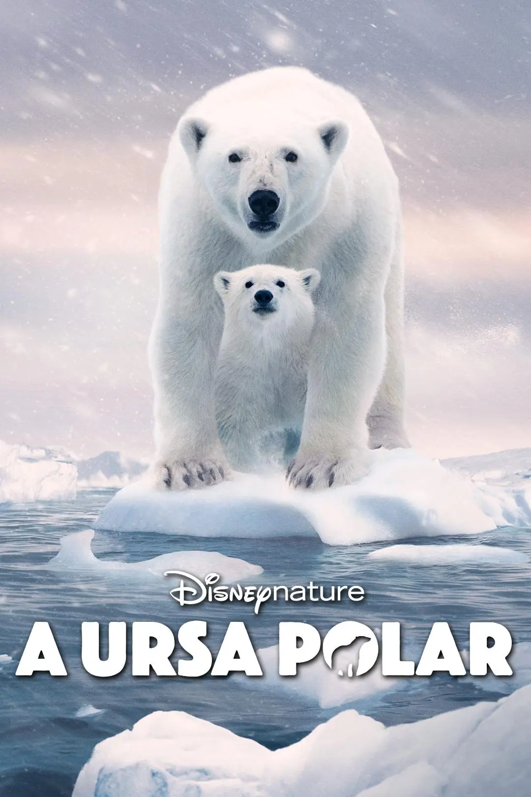 A Ursa Polar_peliplat