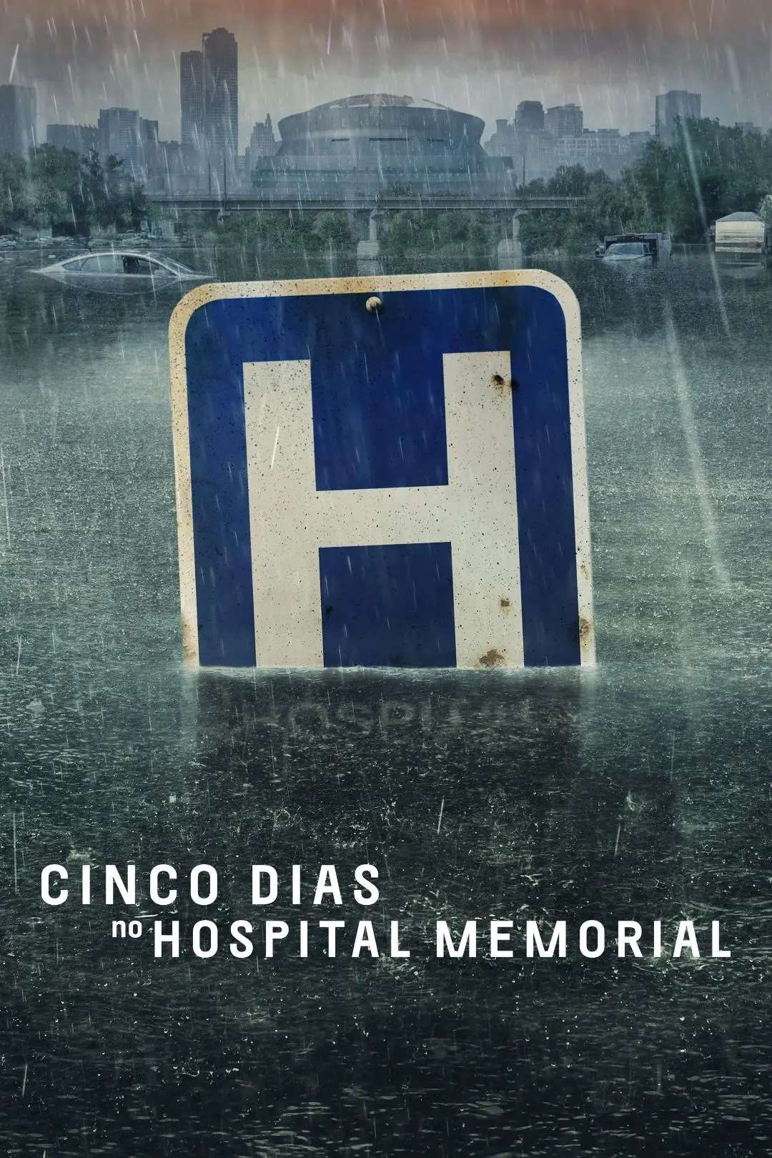 Cinco Dias no Hospital Memorial_peliplat