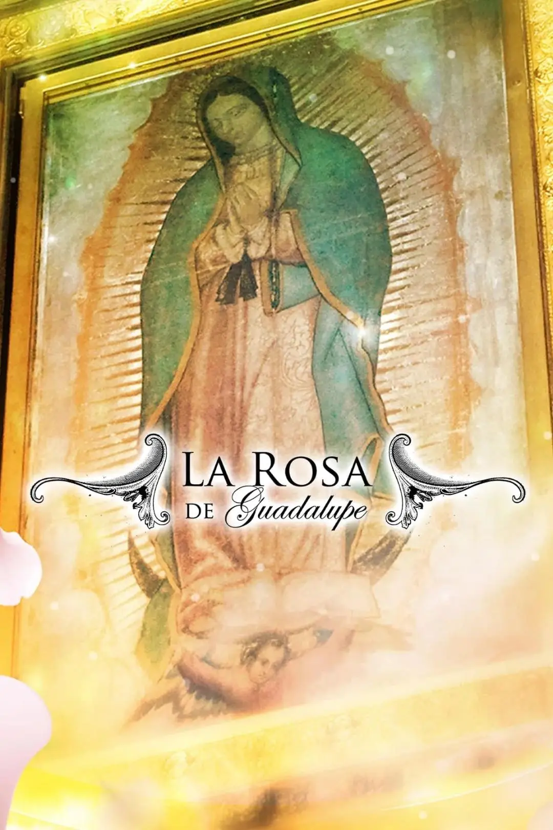 La rosa de Guadalupe_peliplat