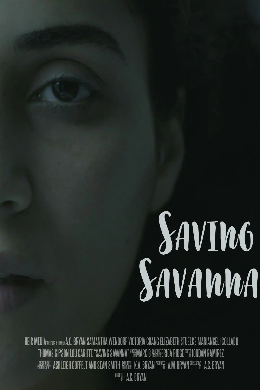 Saving Savanna_peliplat