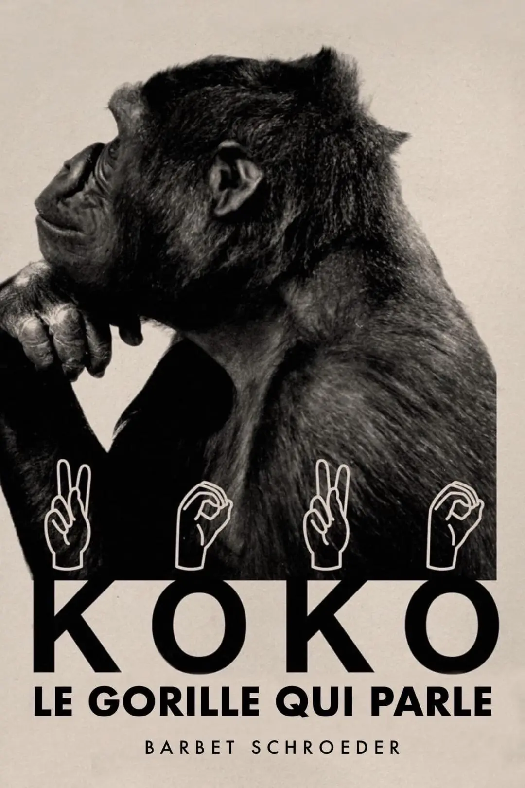 Koko: A Talking Gorilla_peliplat