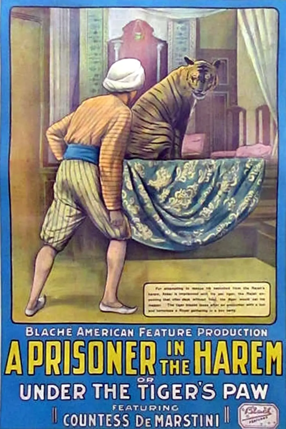 A Prisoner in the Harem_peliplat