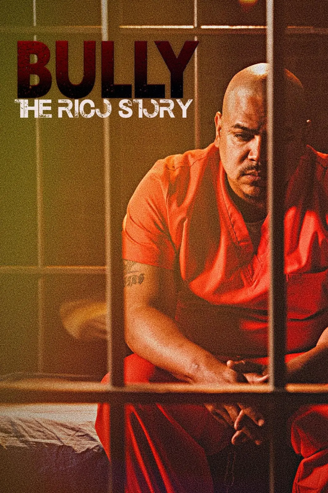 Bully the Rico Story_peliplat