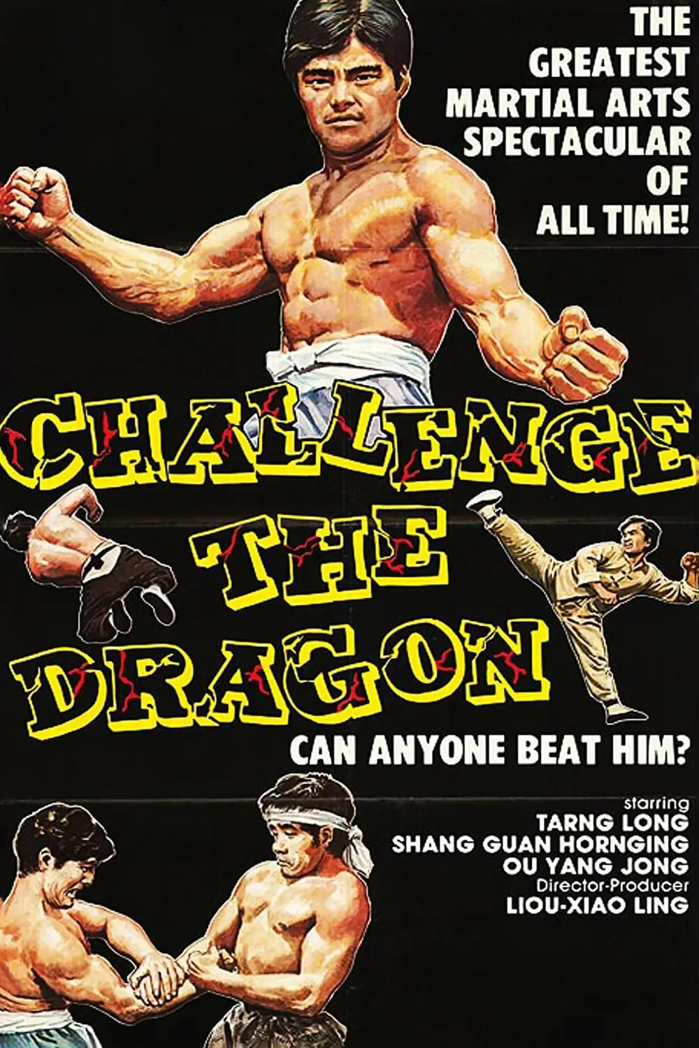 Challenge the Dragon_peliplat