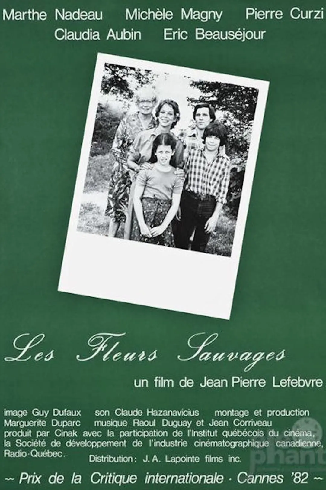 Les fleurs sauvages_peliplat