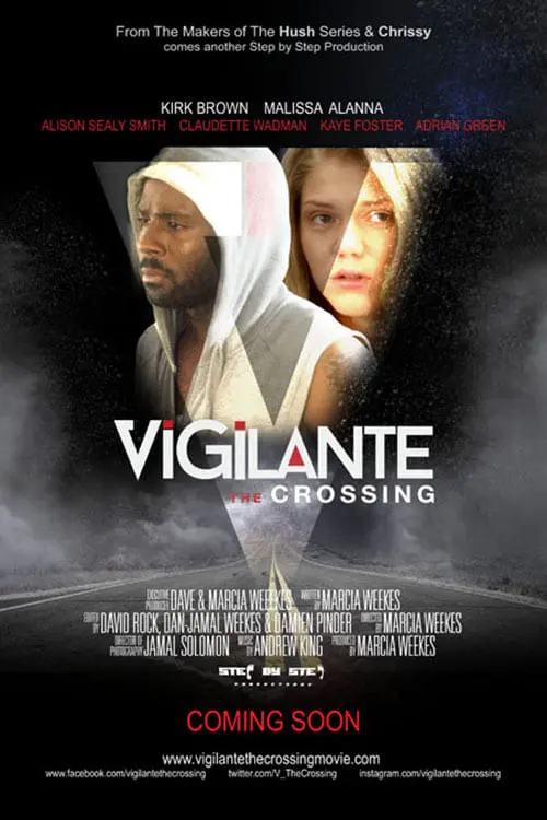 Vigilante: The Crossing_peliplat