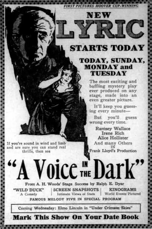 A Voice in the Dark_peliplat