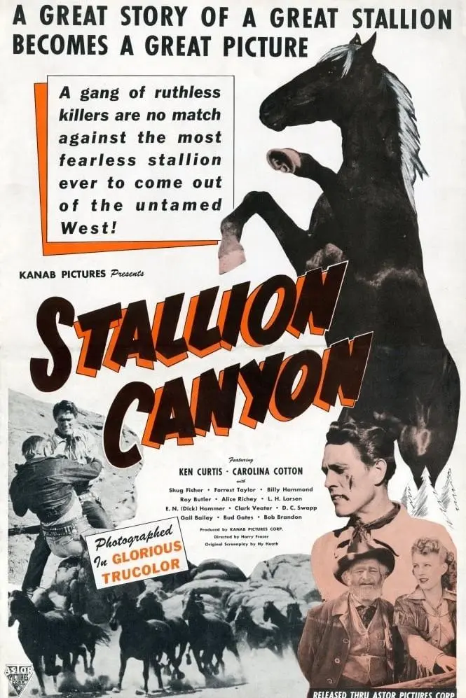 Stallion Canyon_peliplat