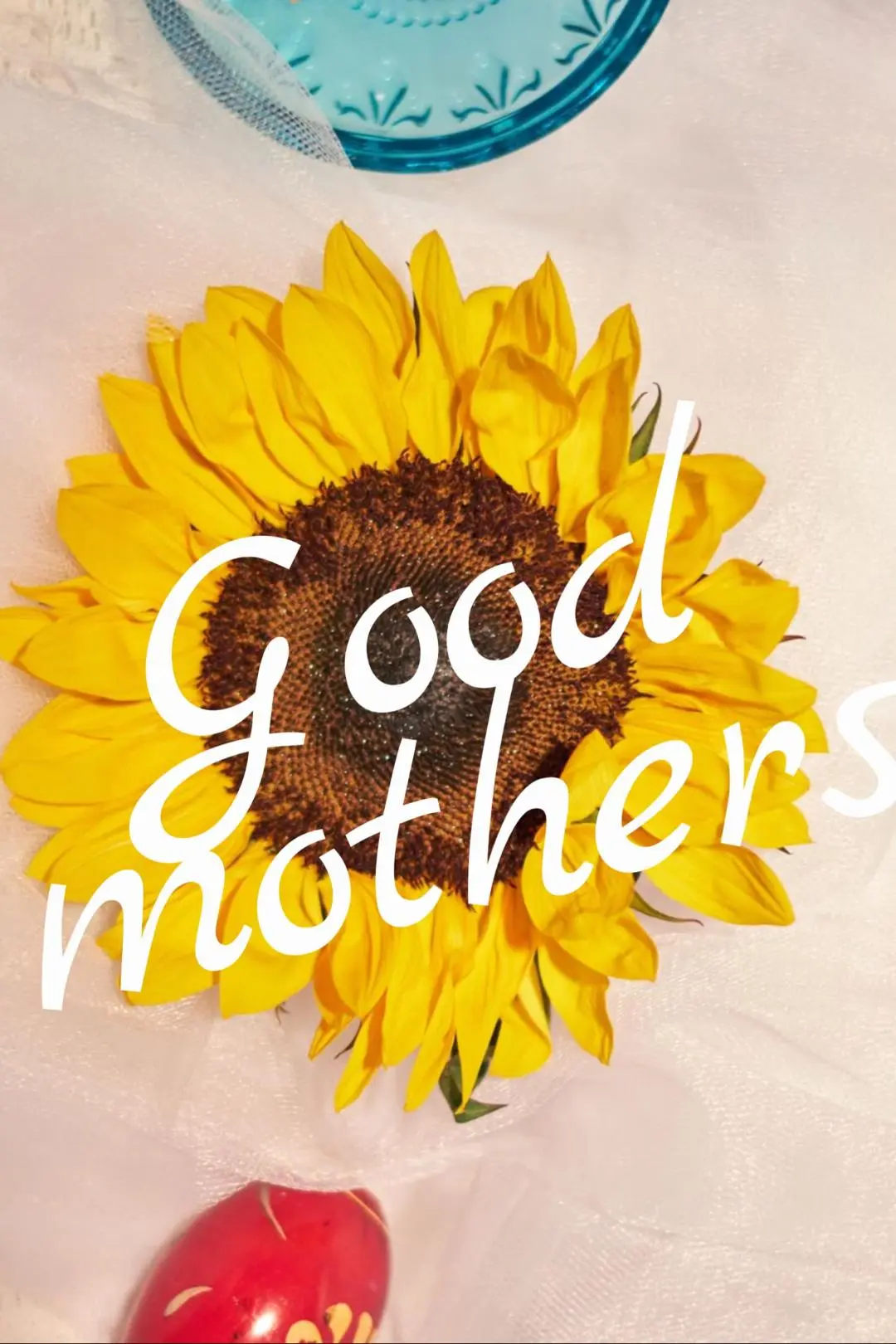 Good Mothers_peliplat