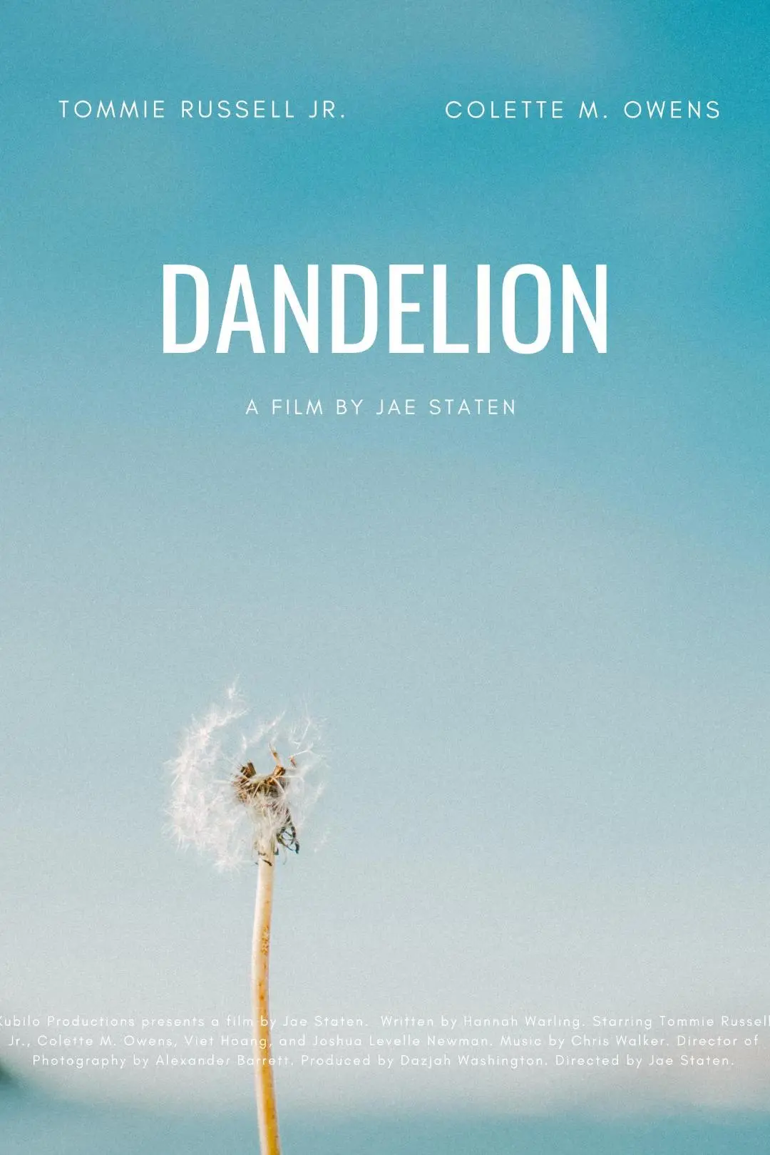 Dandelion_peliplat