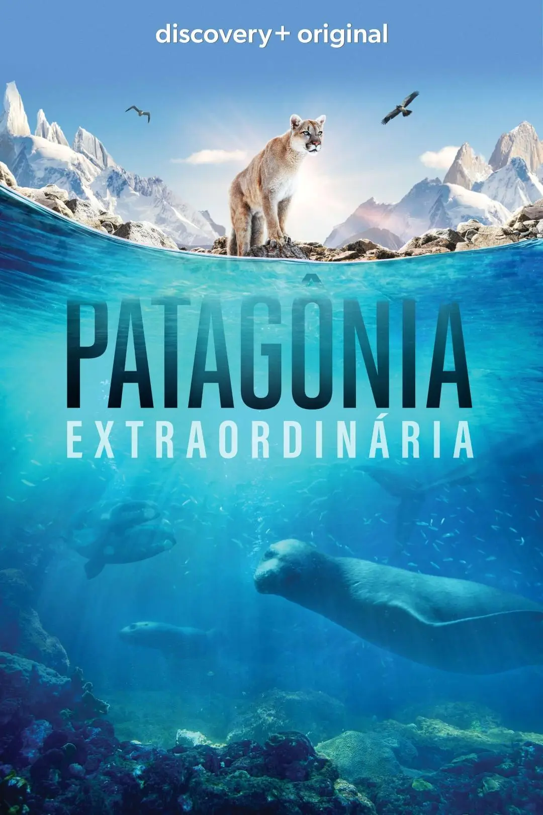 Patagonia_peliplat