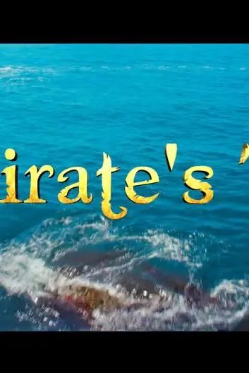 A Pirate's Tale_peliplat