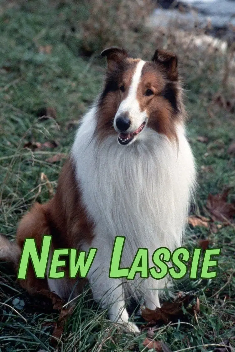 La nueva Lassie_peliplat