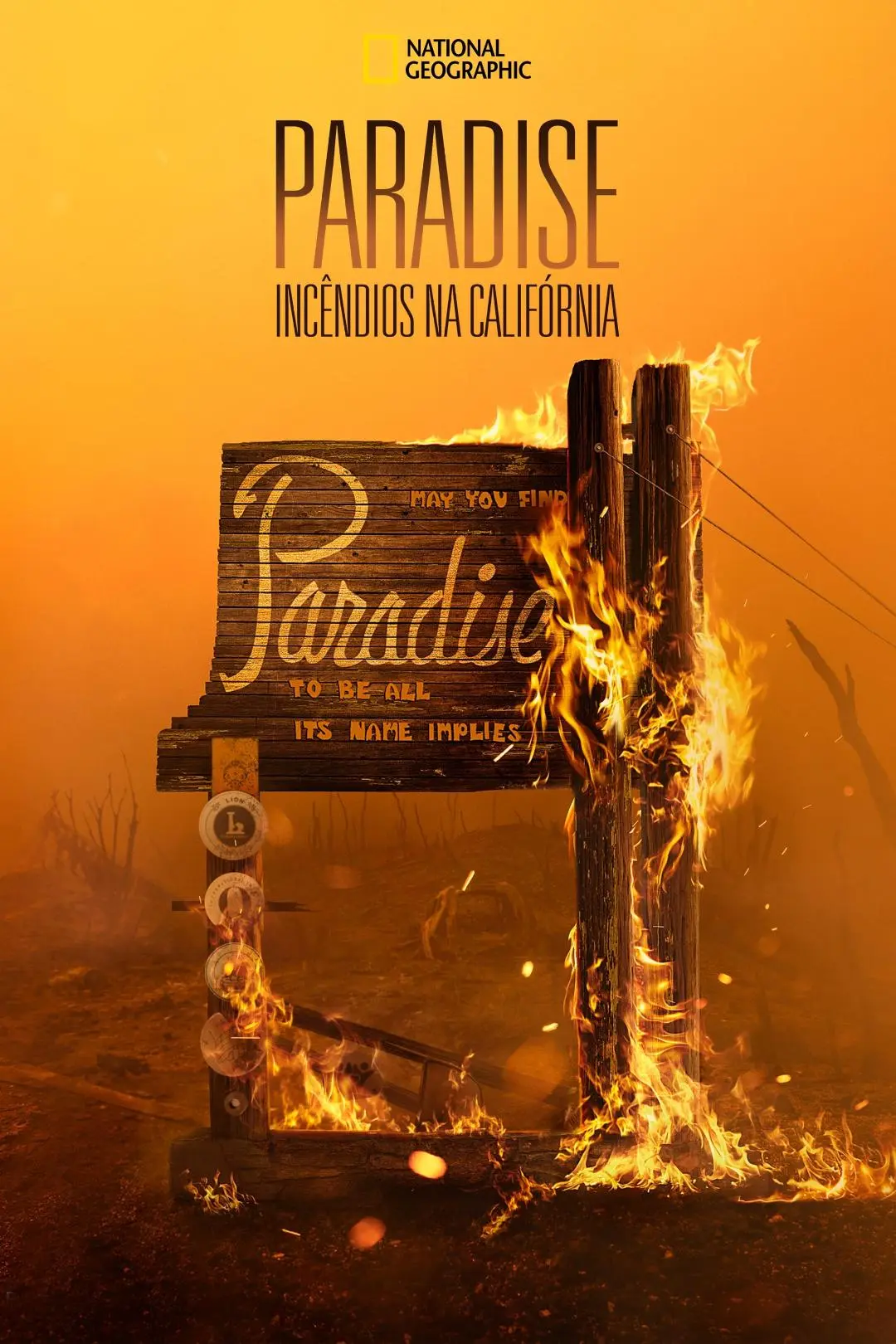 Rebuilding Paradise_peliplat