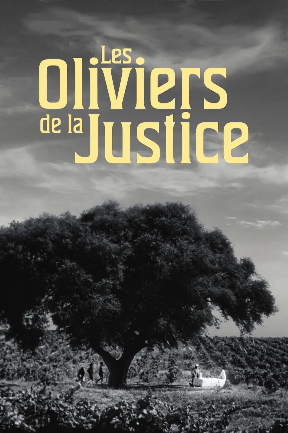 The Olive Trees of Justice_peliplat