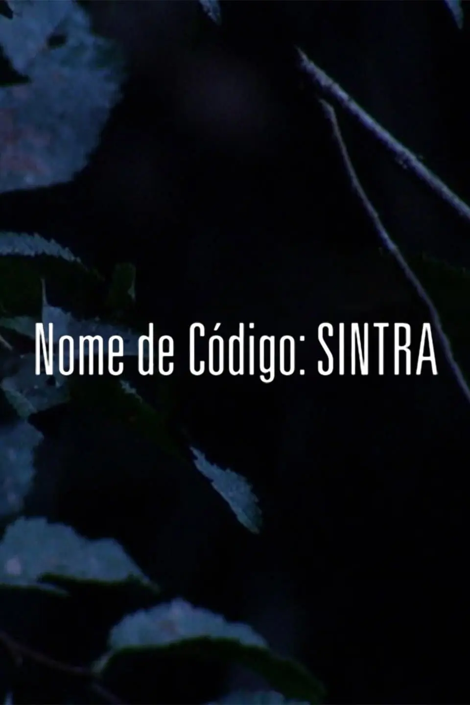 Nome de Código: Sintra_peliplat