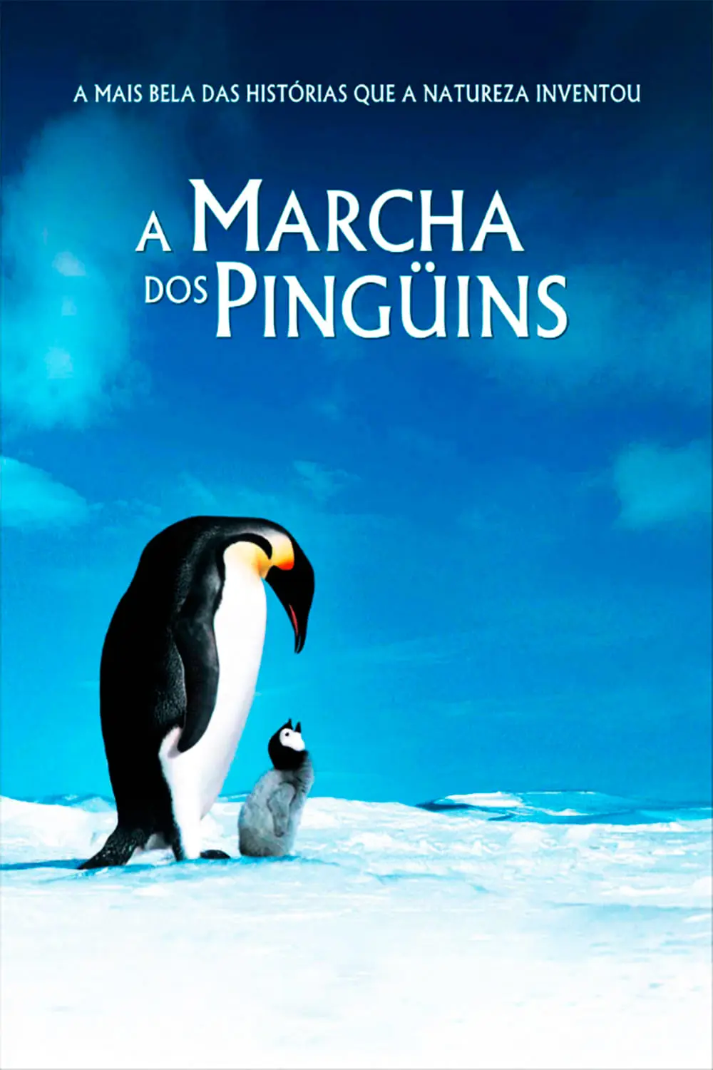 A Marcha dos Pinguins_peliplat