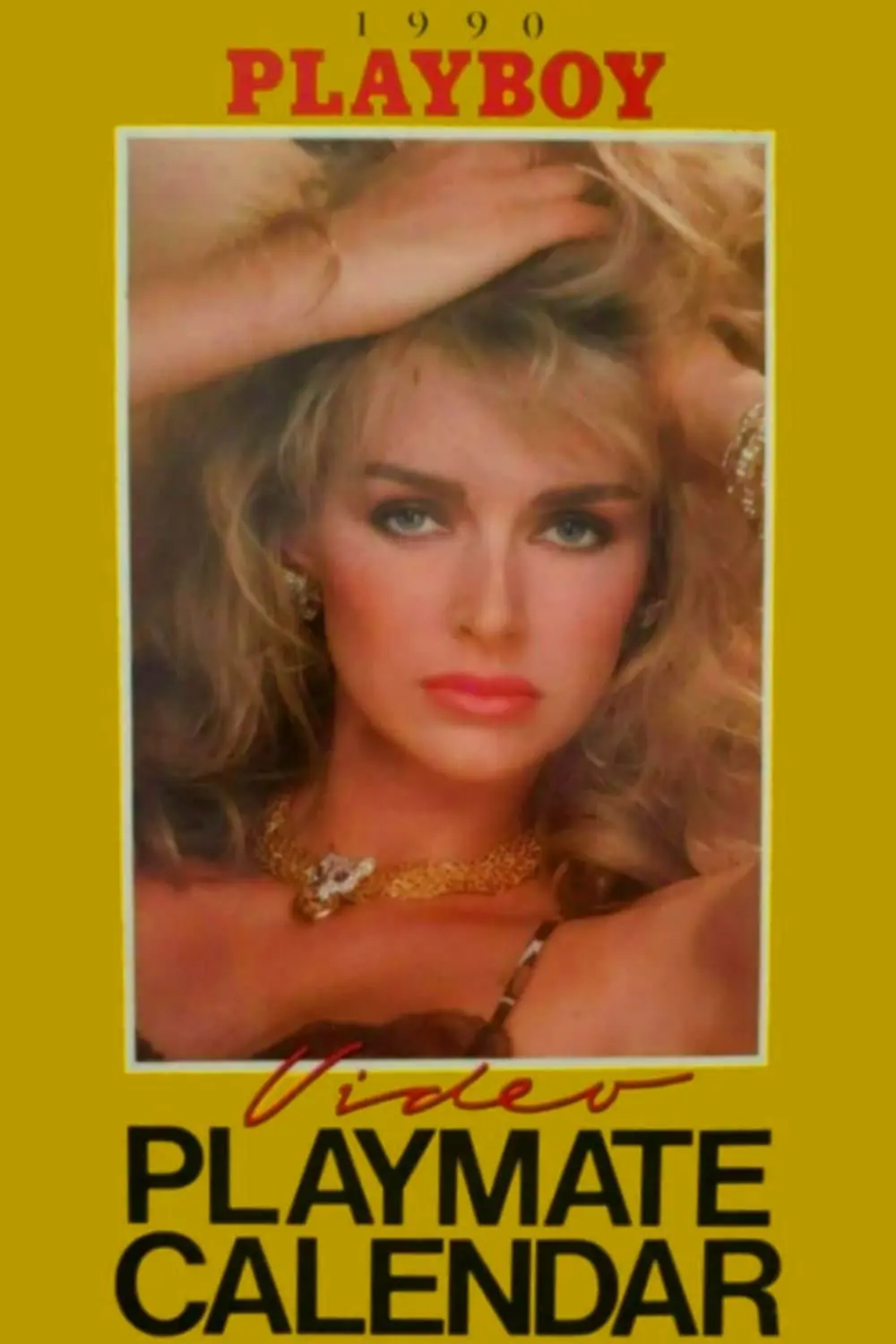 Playboy Video Playmate Calendar 1990_peliplat