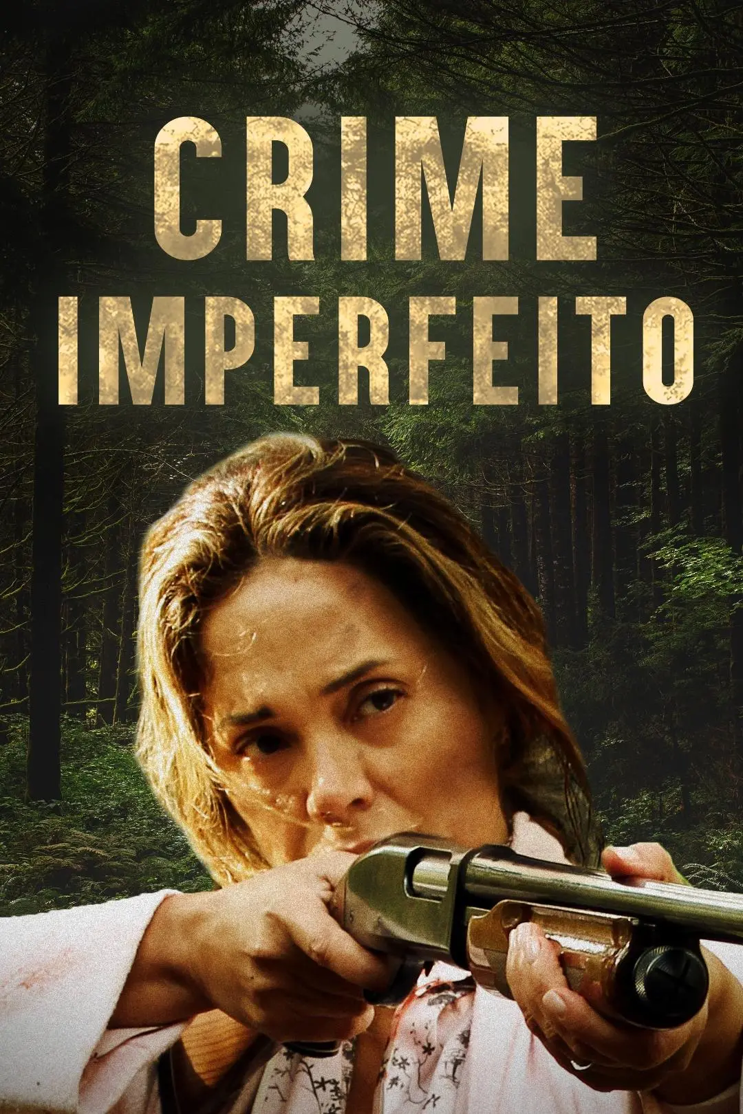 Crime Imperfeito_peliplat