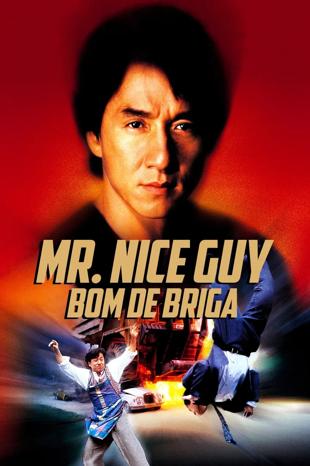 Mr. Nice Guy: Bom de Briga_peliplat