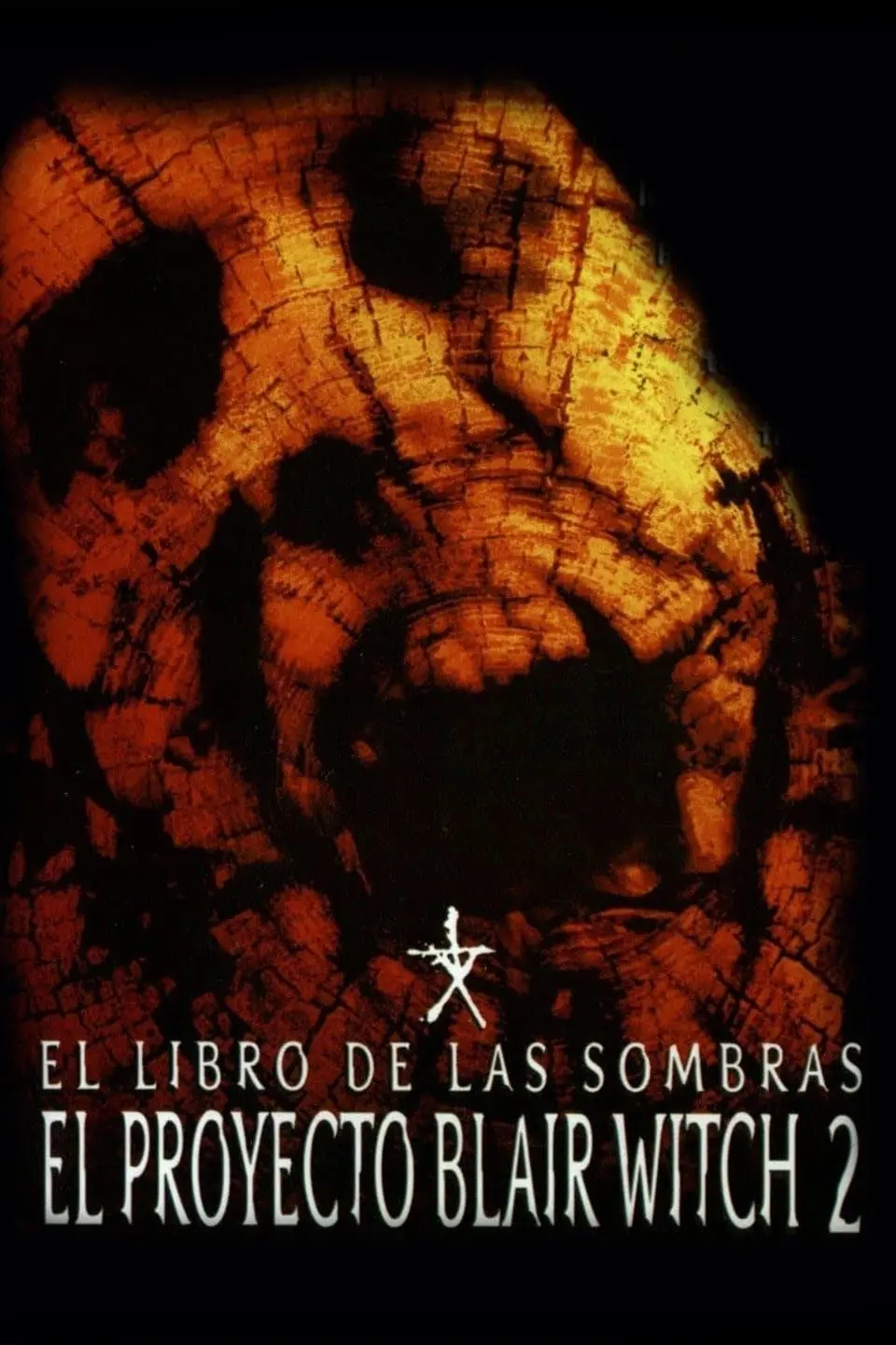 El libro de las sombras: El proyecto Blair Witch 2_peliplat