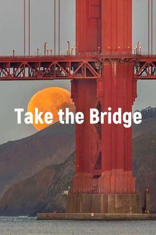 Take the Bridge_peliplat
