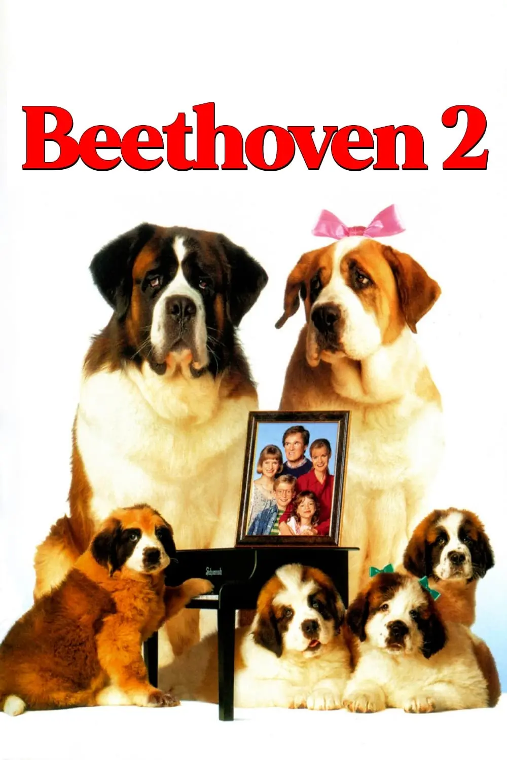 Beethoven 2_peliplat