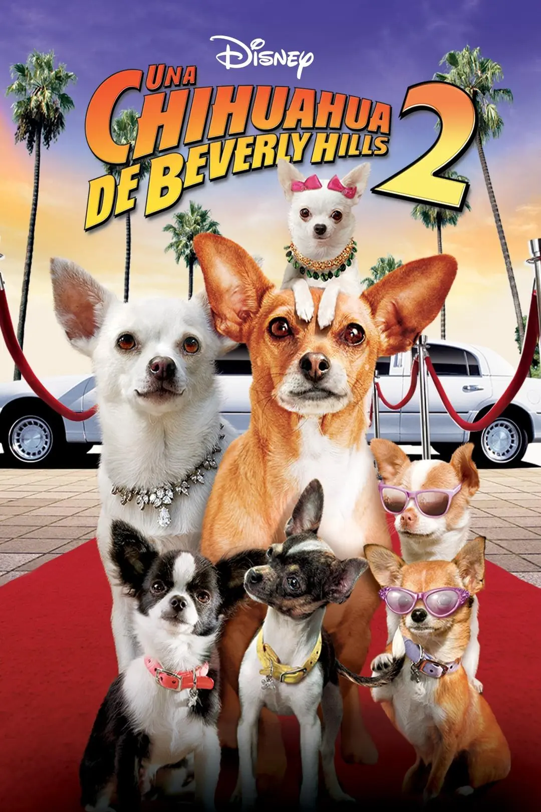 Una Chihuahua de Beverly Hills 2_peliplat