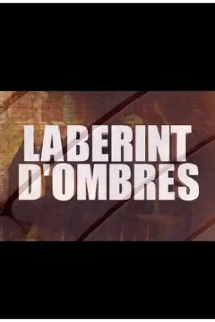 Laberint d'ombres_peliplat