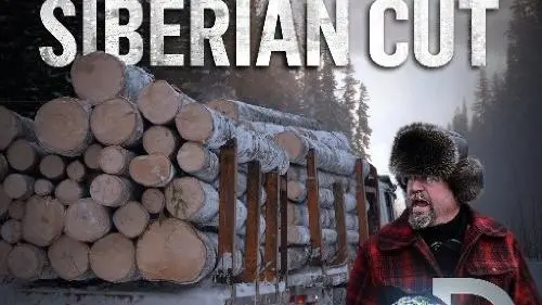Siberian Cut_peliplat