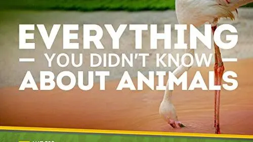 Everything You Didn't Know About Animals_peliplat