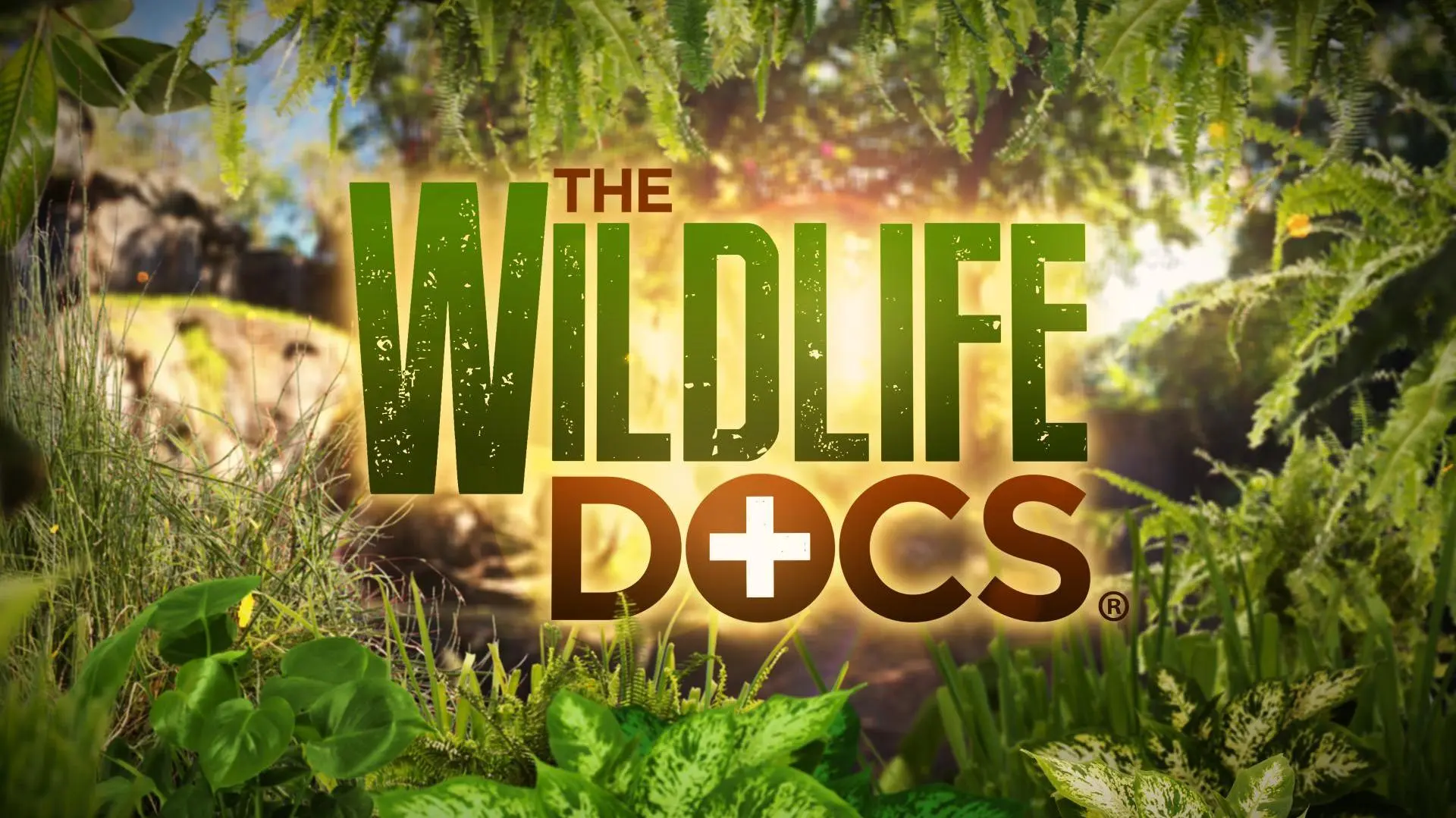 The Wildlife Docs_peliplat