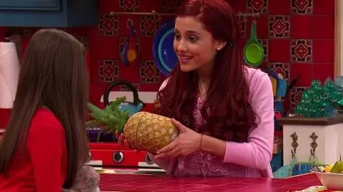 Sam & Cat_peliplat