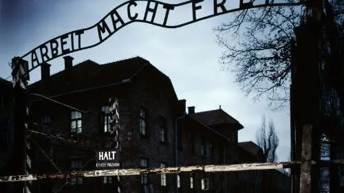 Auschwitz: Inside the Nazi State_peliplat