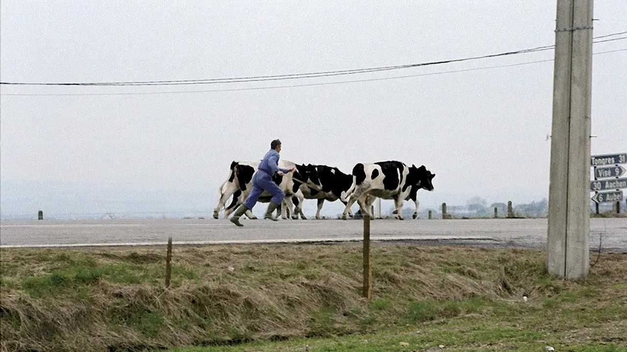 Le grand paysage d'Alexis Droeven_peliplat