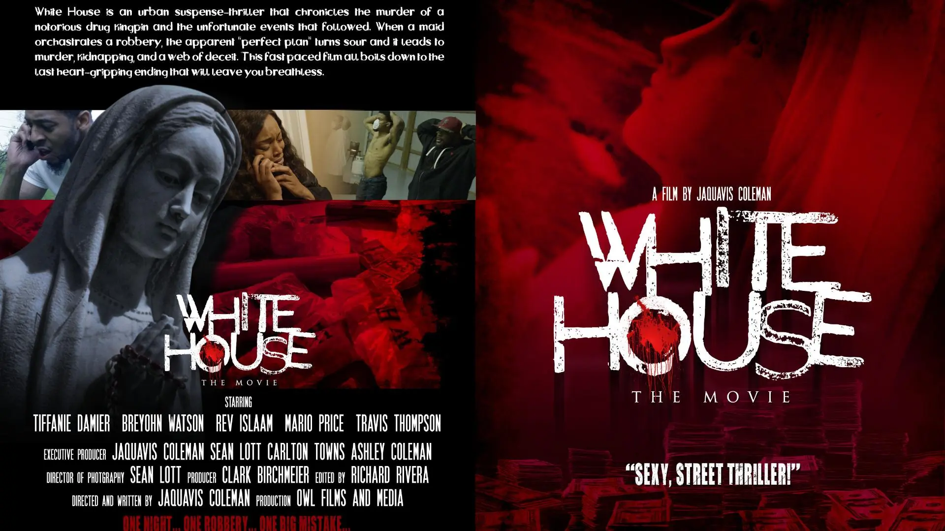 White House: The Movie_peliplat