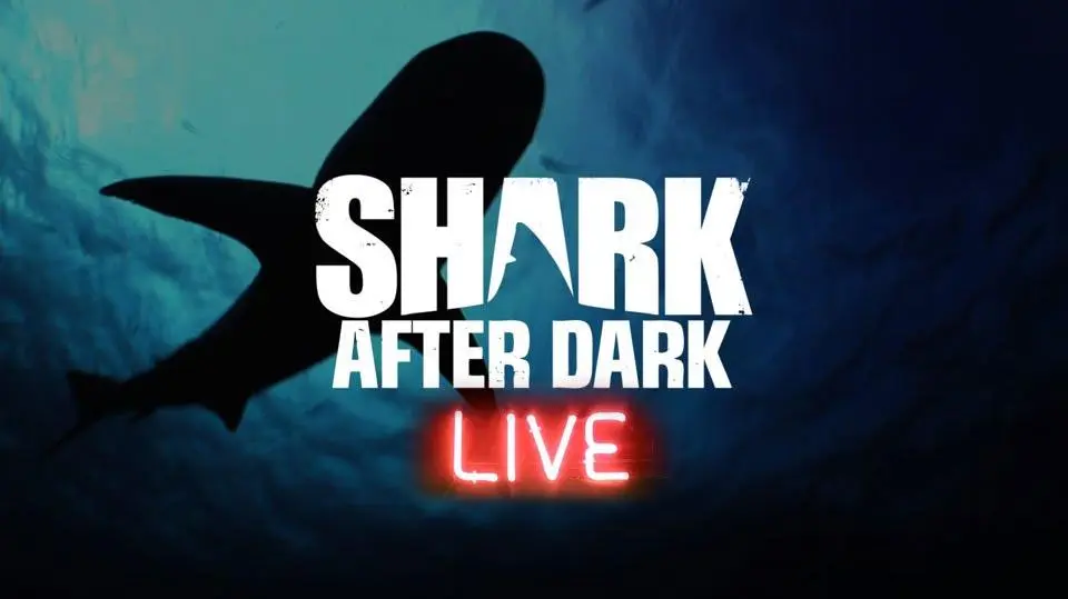 Shark After Dark_peliplat