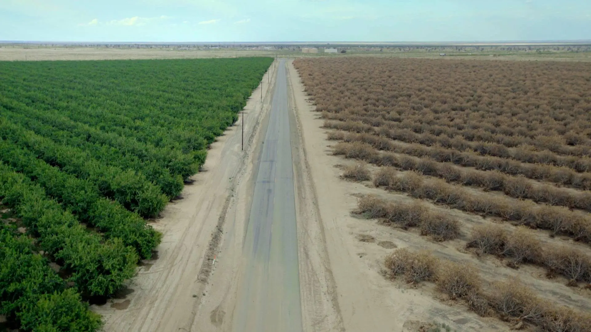 Water & Power: A California Heist_peliplat