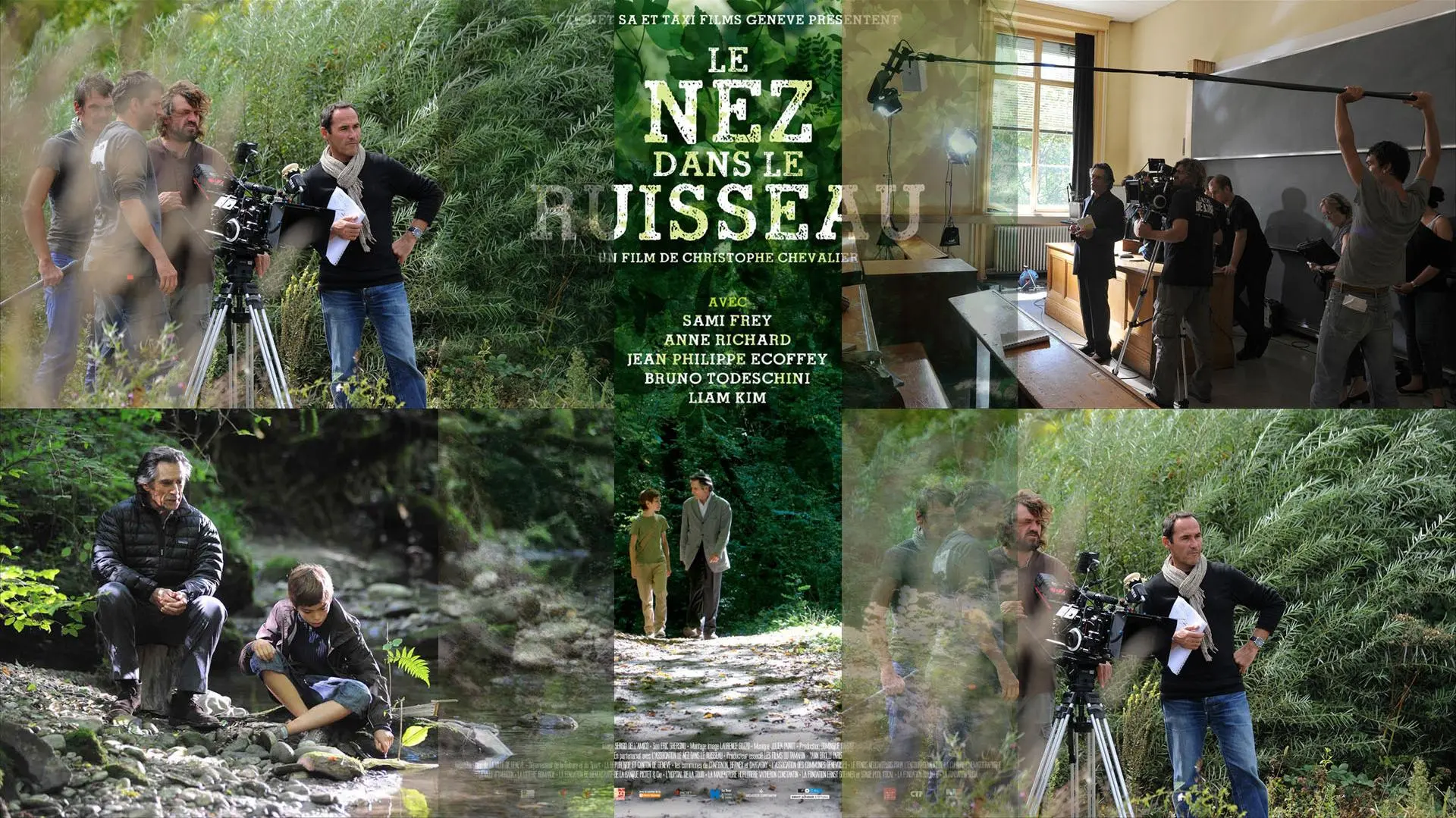 Le nez dans le ruisseau_peliplat