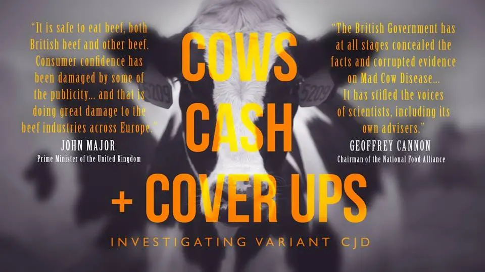 Cows, Cash & Cover-ups? Investigating VCJD_peliplat